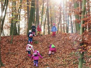 Kinder in der Natur