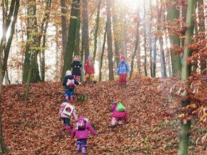 Ausflüge in die Natur